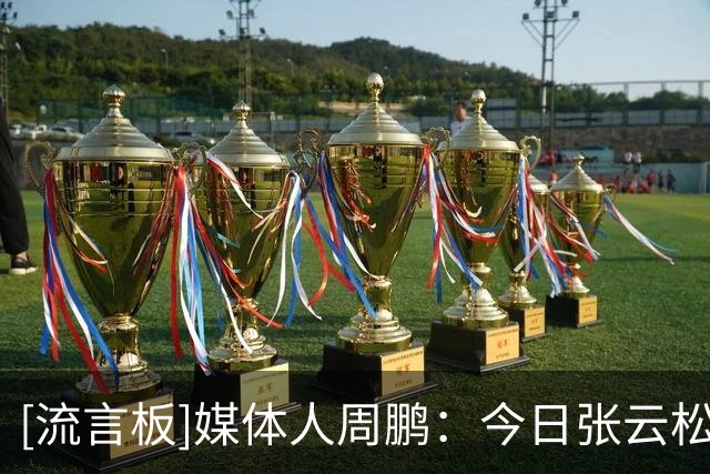 [流言板]媒体人周鹏：今日张云松&李楠&刘晓宇现场观战今日绿军夏联